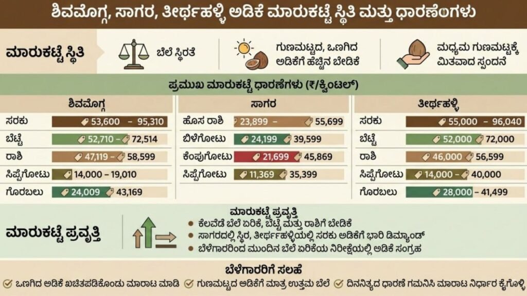 Arecanut Price Today
